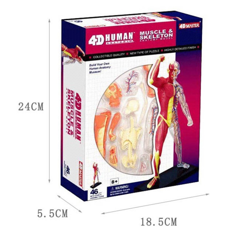 4d Master กล้ามเนื้อมนุษย์โครง - Medical Lab Assistant บทวิจารณ์และราคา